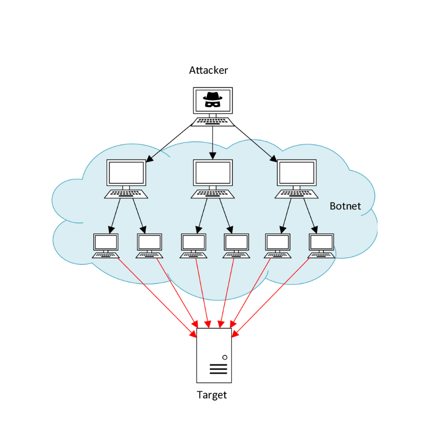 DDoS Attacks: The Basics to Protect Your Network
